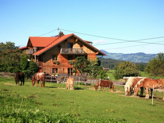 Unser Bilderbuchbauernhof