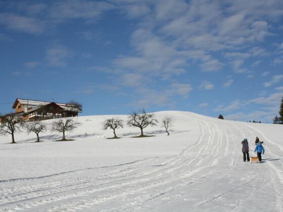 Spass im Winter