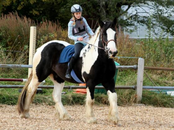 Reiten