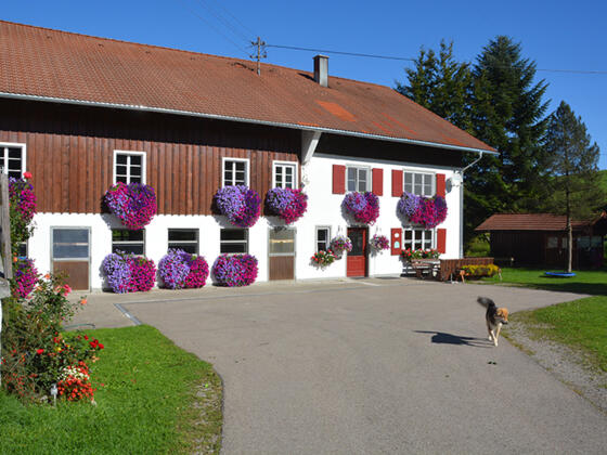 Ferienhof Oberhofer, Weitnau