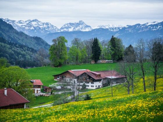 Ferienhof Nigg - Hier bin ich Mensch