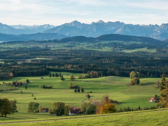 Blick vom Auerberg ins Alpenvorland