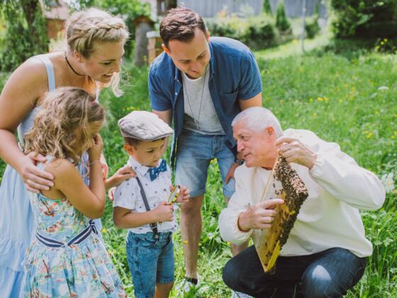 02-bienenhaus-3c1a6132