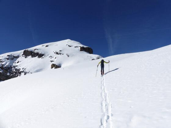 Den Gipfel bereits in Sichtweite, geht es über die Hochfläche hinauf zum Sattel.