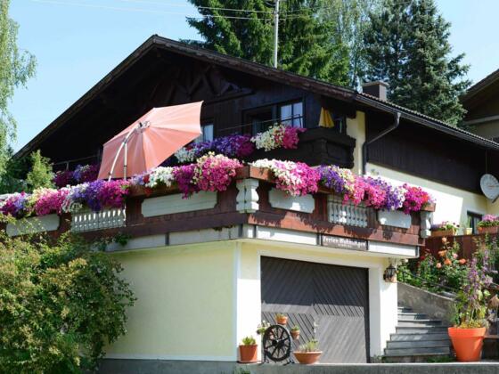 Aussenansicht im Sommer