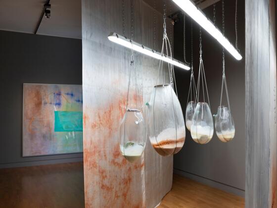 Alice Morey: Conditioning Demands (Ausstellungsansicht)