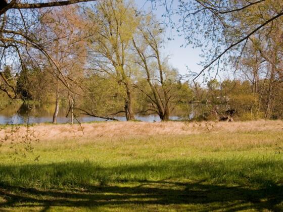 Stadtweiher Kempten