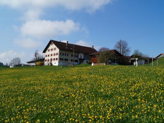Bauernhof Sommer