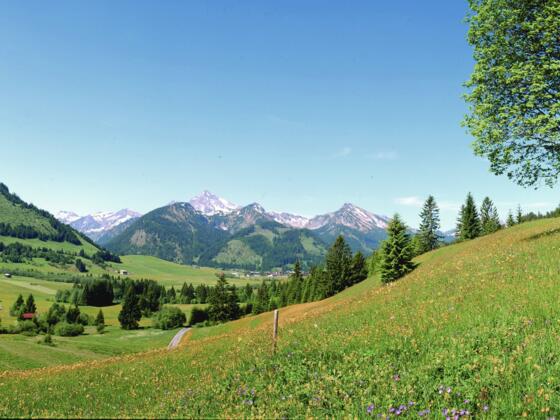 Tannheimer_Tal_Landschaft_3