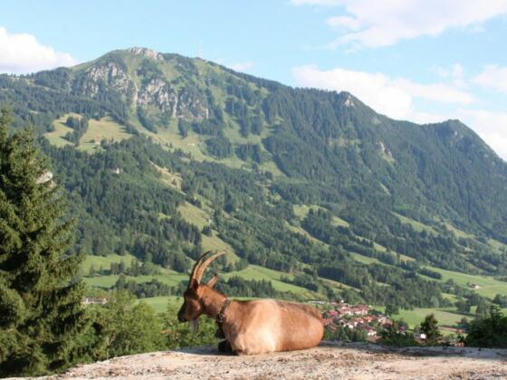 den Urlaub genießen