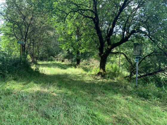 Wanderung im Lautertal