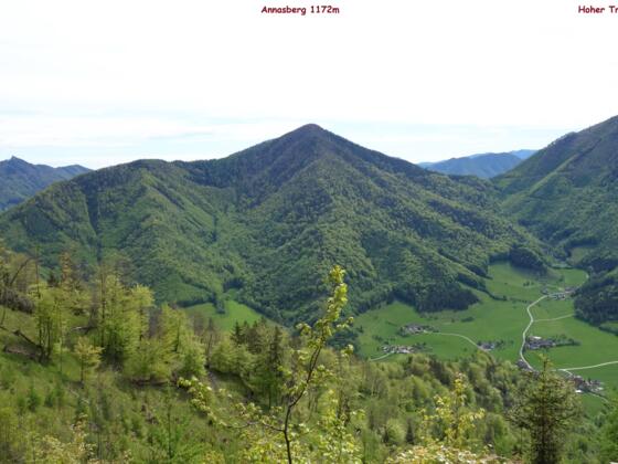 Hoher Trailing von Osten,  Übergang Rammelspitz-Eibling