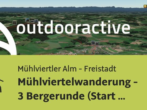 Wanderung in der Region Mühlviertler Alm - Freistadt: Mühlviertelwanderung - ...