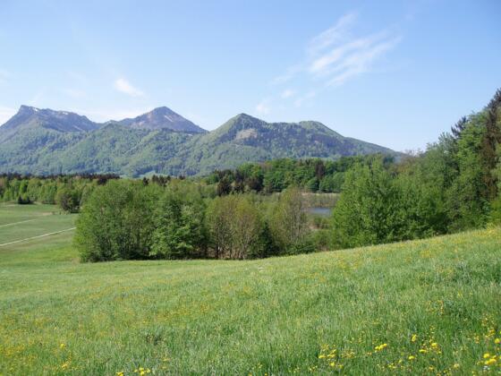 Bärnsee
