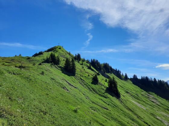 Blick Richtung Gipfel