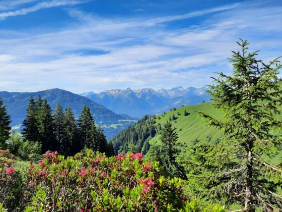 Höhenweg Richtung Plansott Alpe