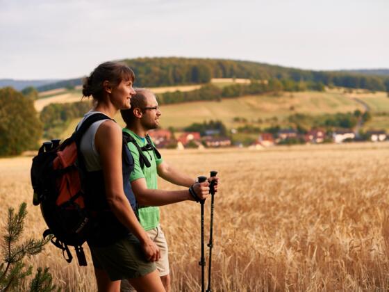 Odenwaldblick