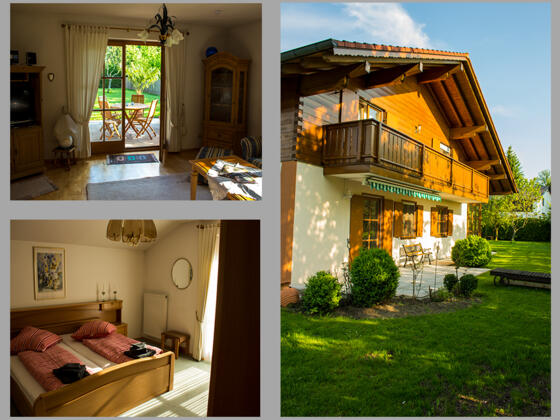 Seiderer mehrfach Bild