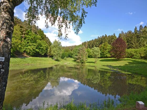 Waldsee