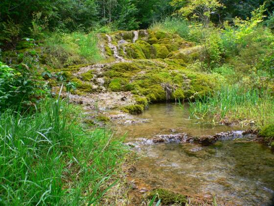 Sinterterassen Weißenbrunn vorm Wald