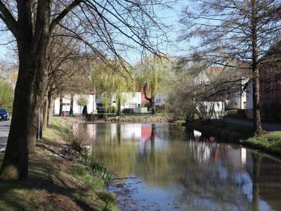 Dorfteich Stöppach