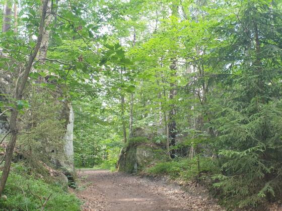 Wanderung zwischen Neustadt und Rödental