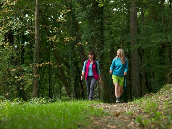 Wanderung im Wald | Bad Kissingen