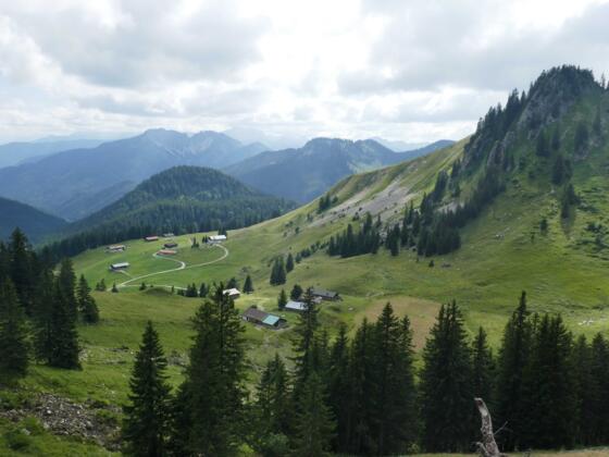 Blick zurück zu den Schönfeldalmen