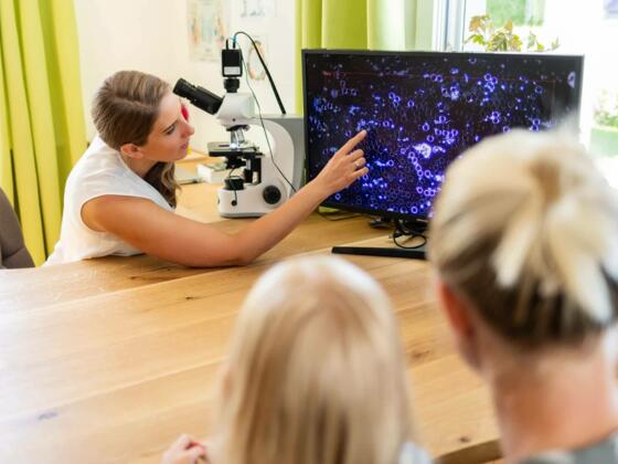 Dunkelfeld Mikroskopie Bettina Fröhlich Mühlviertler Hochland.jpg