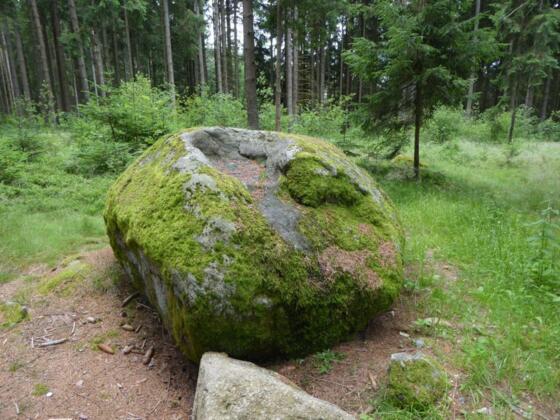 Schalenstein - Steinwald - Brunnwald