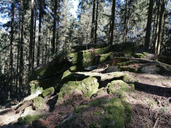 Teufelskanzel_ Oberneukirchen 1