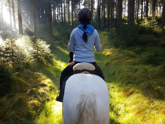 M4Hochland_Wanderritt