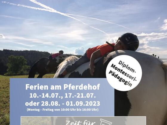 HiH_Flyer_vorne_2023_gesamt_2023_1