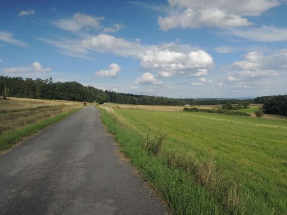 Rundweg um Grub am Forst