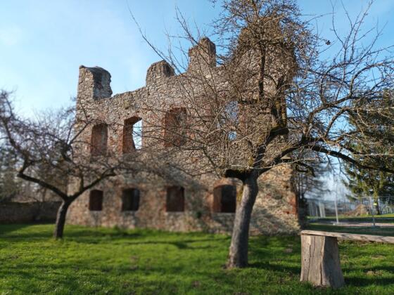 Burgruine Haibach