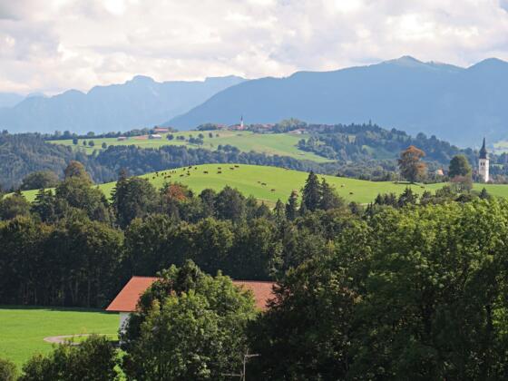 Blick Richtung Alpen, bei Rottenbuch