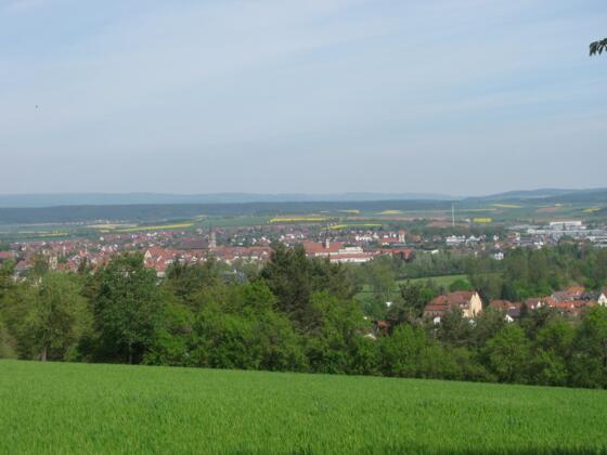 Blick auf Bad Neustadt
