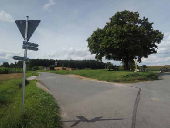 Rundweg Grub am Forst
