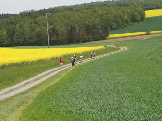 Weg nach Pfändhausen