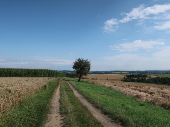 Kleine Runde auf dem Steinlegendenweg