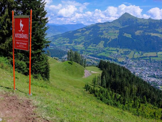 Trailrun auf der bekanntesten Skiabfahrt der Welt: Der Streif