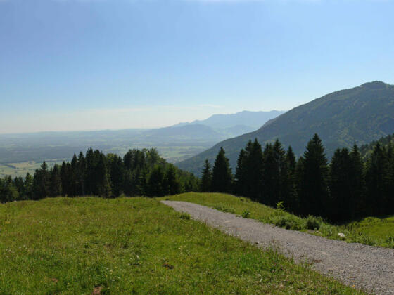 Tregler Alm