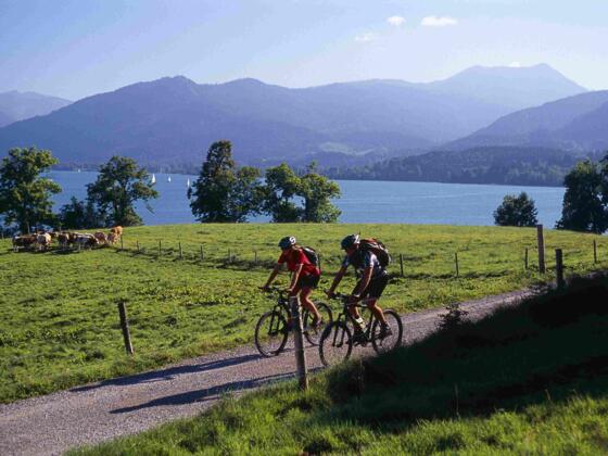 Mountainbiker bei Kaltenbrunn