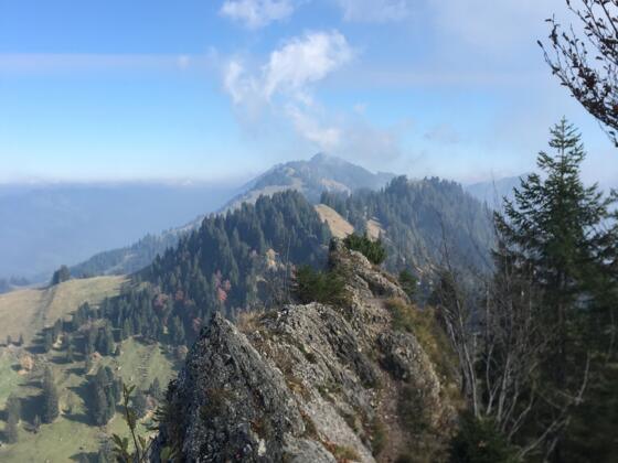 Grat zwischen Hochgrat und Eineguntkopf