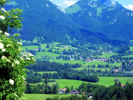 Schwarzenberg