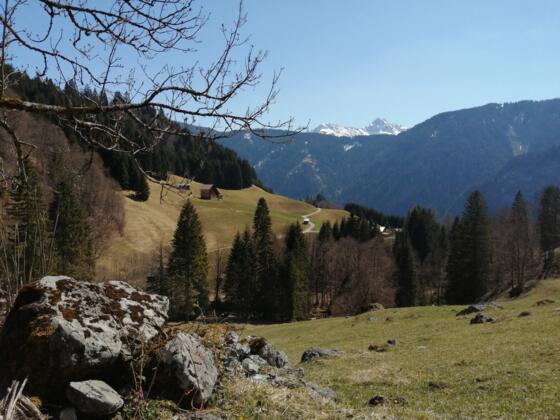 Ausblick beim Römerkeller in Dalaas