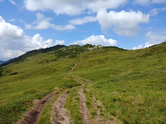 Unterwegs Richtung Muttjöchle-Gipfel