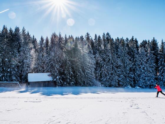 Langlaufen im Mühlviertel