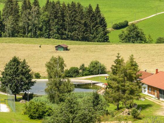 Freizeitteich in St. Georgen am Walde