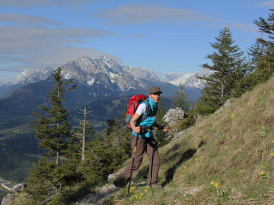 Anstieg zum Lausberg